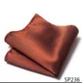 Heren stijlvolle mode pochet zakdoek formele zakelijke pak accessoire stippen design. - 12356-SP236