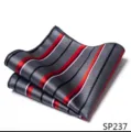 Heren stijlvol gestreept pochet gedetailleerd overzicht, klassieke stoffen zakdoek. - 12356-SP237