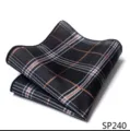 Heren mode geruite pochet zakdoek pak accessoire vierkante sjaal detailweergave. - 12356-SP240