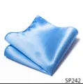 Gedetailleerd uitzicht op lichtblauwe geruite pochette voor heren kostuum accessoire zakdoek. - 12356-SP242