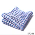 Stijlvolle blauwe ruit ruitje pochette voor heren pak zakdoek accessoire detail. - 12356-SP243