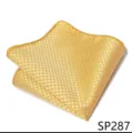 Pañuelo de bolsillo dorado a cuadros para hombre traje de boda negocios accesorio elegante - 12356-SP287