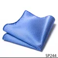 Heren blauwe stippen zakdoek stijlvolle pochette voor pak kostuum accessoire mode - 12356-SP244