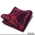 Gedetailleerd overzicht van het rode en donkerblauwe paisley patroon pochet voor heren. - 12356-SP245