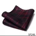 Stijlvolle heren ruit pochet pak zakdoek vierkant accessoire voor formele zakenkleding. - 12356-SP246