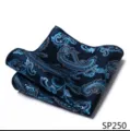 Gedetailleerd uitzicht op een stijlvol blauw paisley pochet voor heren, fijne textuur. - 12356-SP250