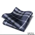 Klassiek geruit pochet voor heren stijlvol pak zakdoek accessoire detail opname. - 12356-SP251