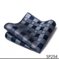 Detailweergave van een stijlvolle blauw en grijze geruite pochet voor heren kostuum. - 12356-SP254