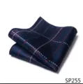 Detailopname van een donkerblauwe geruite pochet met rode en witte strepen voor kostuums. - 12356-SP255