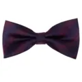 Classic men's blue and red jacquard polyester bow tie for business weddings and parties. - Blue Red