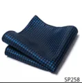 Gedetailleerde foto van een stijlvol donkerblauw heren pochet met blauwe stippen voor pak. - 12356-SP258