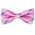 Men's pink polyester bow tie with blue diagonal stripes for business wedding party main view. - Pale Blue
