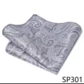 Vista detallada de pañuelo de bolsillo paisley gris, tela de calidad, borde enrollado fino. - 12356-SP301