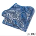 Hombre Azul Blanco Paisley Pañuelo de Bolsillo Traje Accesorio Boda Novio Elegante Estilo - 12356-SP309