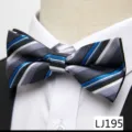 Nœud papillon rayé homme vue détail, élégant nœud papillon en jacquard pour mariage. - Style Rayé Multicolore(12638-LJ195)