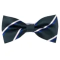 Men's striped bow tie business wedding party polyester silk neckwear classic stylish accessory - Dark Green