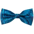 Fashionable men's blue paisley jacquard bow tie for business wedding and party wear - Black Blue