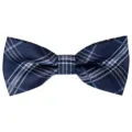 Classic blue plaid bow tie for men, perfect for business, wedding, and party wear. - Blue
