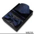 Set de caja de regalo de corbata de boda de negocios para hombre, corbata jacquard de cuadros. - WB256
