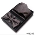 Set de regalo de corbata de negocios para hombre con diseño de patrón jacquard geométrico. - WB249