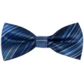 Blue Striped Polyester Silk Bow Tie, Men's Trendy Business Wedding Fashion Bowtie Accessory - Blue