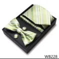 Set de regalo de corbata a rayas verde para hombre con pajarita pañuelo y gemelos elegantes. - WB228
