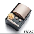 Men's Champagne Tie Pocket Square Cufflinks Flower Brooch Gift Box Set for Business - Champagne