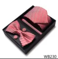 Set de corbata de rayas rojo y blanco para hombre caja de regalo boda de negocios - WB230