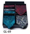 Men's tie and pocket square gift box set, classic paisley jacquard design for business formal wear. - GL69