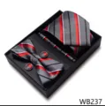 Conjunto de caja de regalo de corbata de boda de negocios para hombres con diseño jacquard a cuadros. - WB237