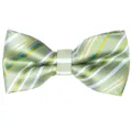 Men's stylish green striped bow tie with jacquard texture for business and wedding events. - Green