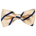 Men's fashion striped bow tie, gold and navy blue jacquard design for business weddings. - Golden Yellow