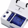 Blue paisley tie pocket square and cufflinks gift set for men business wedding accessories - SB18