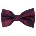 Men's classic jacquard paisley bow tie in navy and burgundy for business wedding parties. - Red and Blue