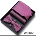 Coffret cadeau cravate nœud papillon boutons de manchette jacquard violet costume - WB182