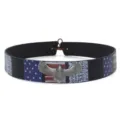 Detailed shot of retro eagle metal emblem hat band accessory leather strap decoration. - American Eagle Style (1#)