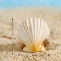 Miniatura resina concha ornamento playa estilo decoracion para micro paisaje artes 1pc - Concha