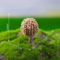 Miniature pink flower tree model micro landscape ornament succulent DIY accessory decor - Pink