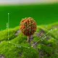 Miniature landscape artificial red tree model, succulent plant decoration accessory bonsai DIY decor - Red