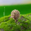 Miniature artificial tree pink ball model micro landscape succulent potted ornament decor - Purple