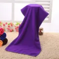Detail view of a soft purple microfiber towel hanging for display, showing absorbent texture. - 35x75 (Single Approx. 47g) / Purple