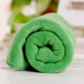 Green microfiber towel rolled up soft absorbent facial bath towel for daily use and care. - 35*75cm / Green
