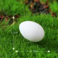 Miniature white artificial bird egg for micro landscape moss garden decoration item. - White Bird Eggs