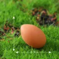 Miniature brown artificial bird egg ornament for micro landscape moss garden decor 1.2x0.8cm - Yellow Bird Eggs