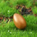 Mini golden egg ornament for moss micro landscape garden fairy decoration craft DIY accessory - Golden Egg
