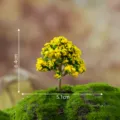 Miniatur gelber Baum Modell, Sukkulenten Zubehör für Mikro Landschaft Dekoration. - Grüne Blumen