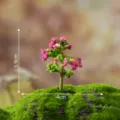 Miniatur Kirschbaum Modell mit Moosbasis fur Mikrolandschaften und Sukkulenten Dekoration. - Grün mit Roten Blumen