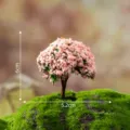 Miniatur rosa Kirschblütenbaum Modell für Mikrolandschaft Moos Dekor Sukkulenten Zubehör. - Rosa Blumen auf Grün