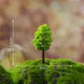 Miniatur Landschaftsbaum Ornament, künstliche Pflanze für Sukkulenten Topf Dekoration Display. - Duftbäume