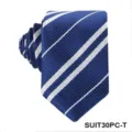Blue and white striped necktie detail, classic pattern design with fine woven texture. - Tie / Blue and White Stripes